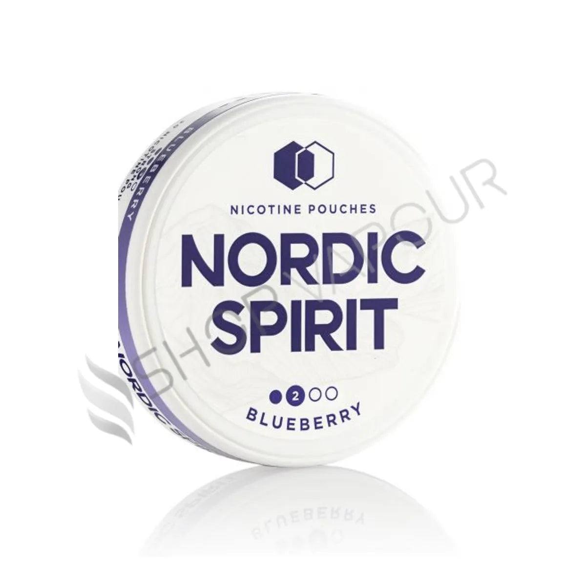Blueberry Nicotine Pouches by Nordic Spirit